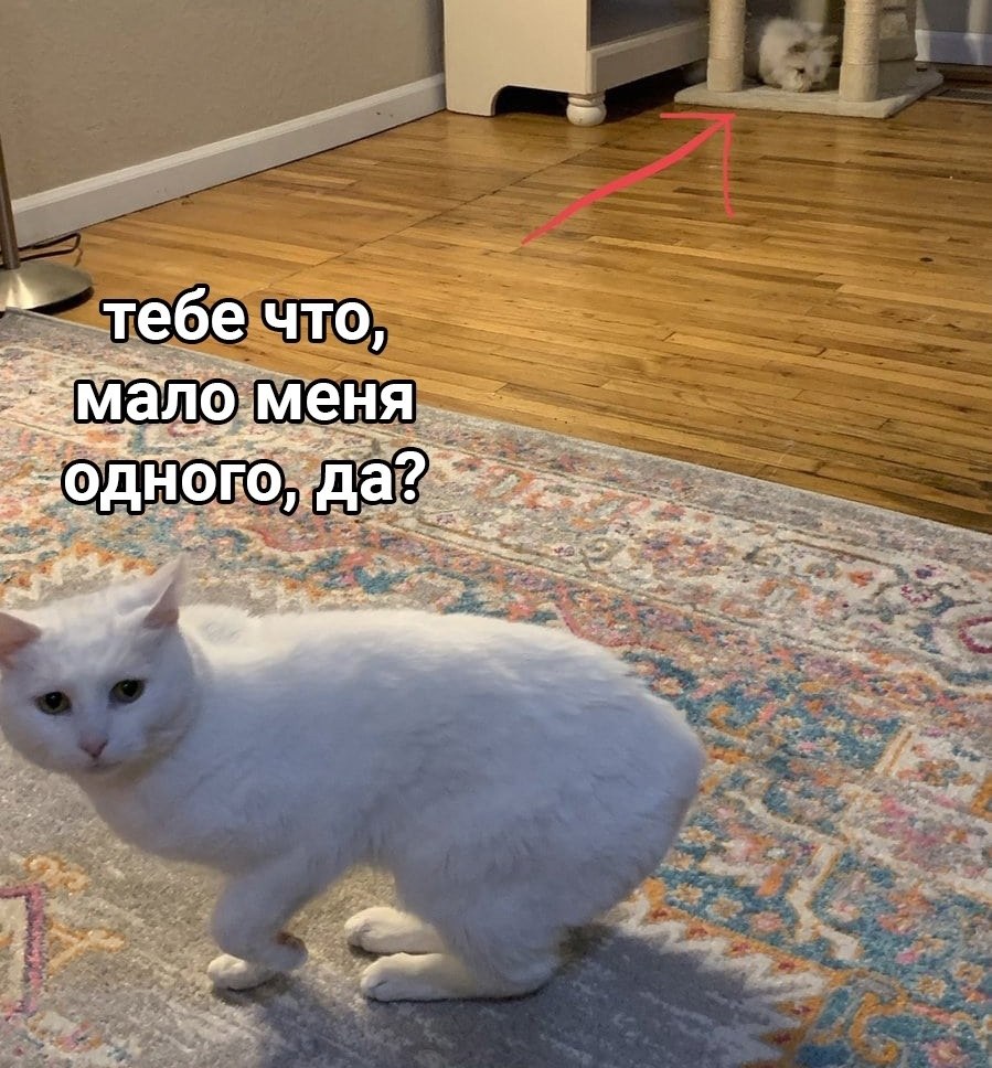    -,   - 2