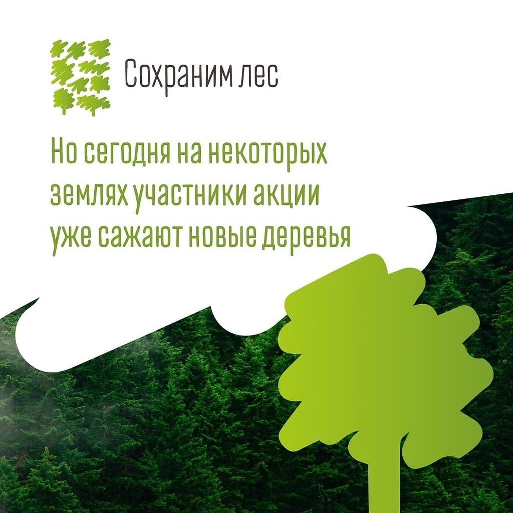 Жаркое лето 2021 года не прошло бесследно. В России, как и ... | Идеи для  жизни | Фотострана | Пост №2381158315