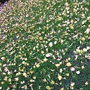 ���� ������, �������, 57 ��� - ��������� 8 ������ 2021 � ������ ���� ����������