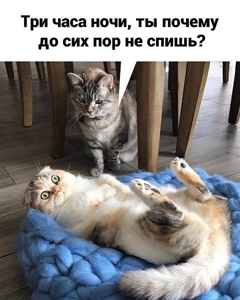 ������� ����� � ��� ���� ����.�������