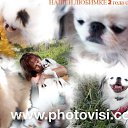 ���� Olja, �����-��������� - ��������� 8 ������� 2021 � ������ ������ ��������