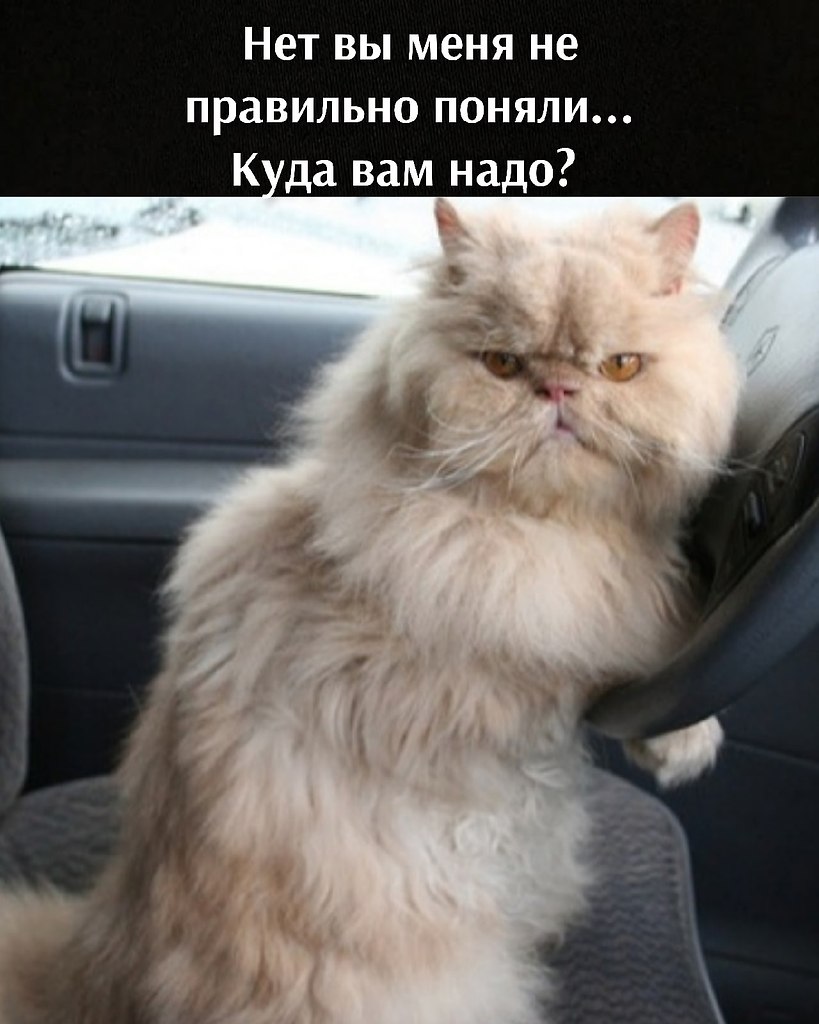       - 12  2021  14:20 - 3