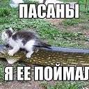 ���� Next, ����-����������� - ��������� 13 ��� 2021 � ������ ���� ����������