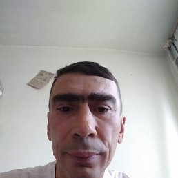 , 48 , 