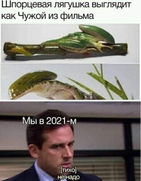  - 11  2021  12:44