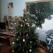 ���������, 43 ����, ��������-��