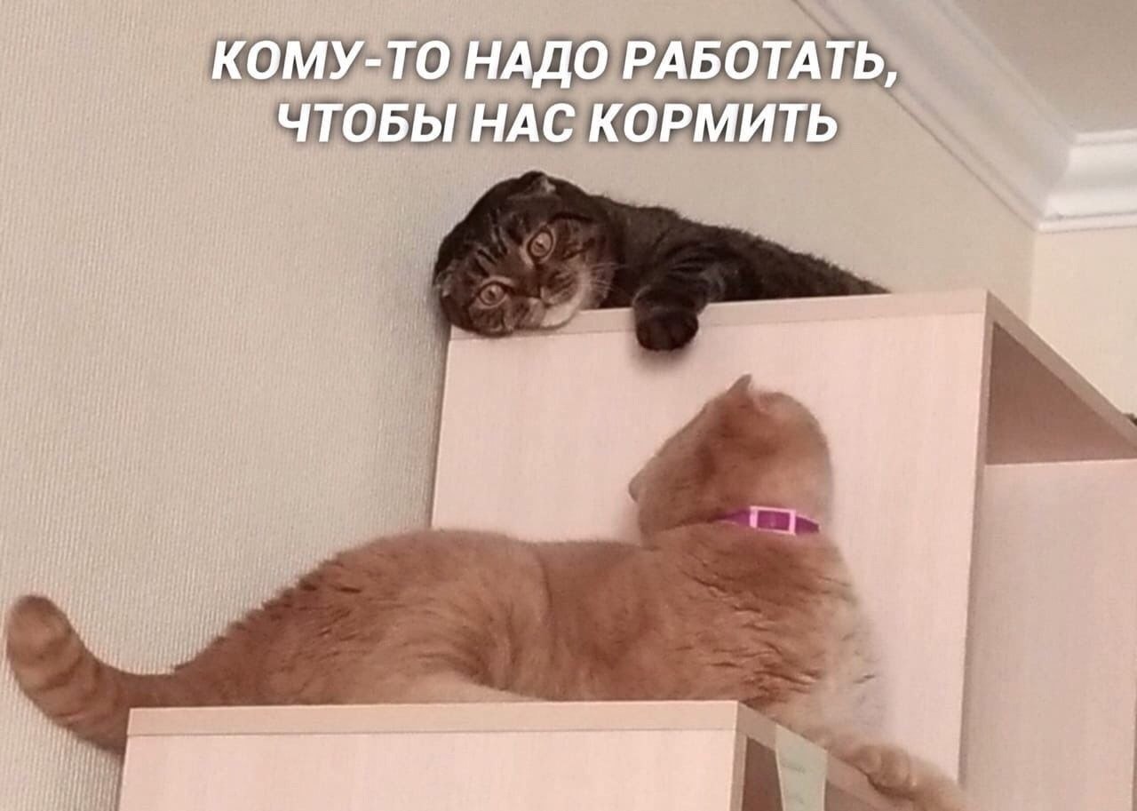 А мне не придется. Опять придется нажраться. Конфуций выбери работу по душе. Негр думает. Мемы про помощь.