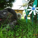 ���� Viktor, �����-��������� - ��������� 26 ���� 2021 � ������ ���� ����������
