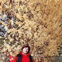 ���� �����(������ �� ���), ������������ - ��������� 10 ������� 2021 � ������ ���� ����������