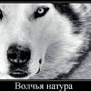 ���� �����, ������������ - ��������� 8 ������ 2021 � ������ ���� ����������