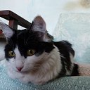 ���� Sergey, ����-�����������, 49 ��� - ��������� 21 ���� 2021 � ������ ���� ����������