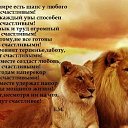 ���� �����, ���������, 54 ���� - ��������� 27 ������� 2021 � ������ ������ ��������