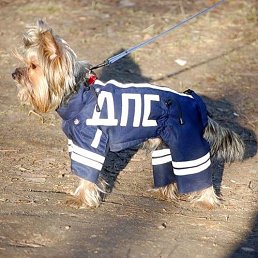 ����, ������, 57 ���