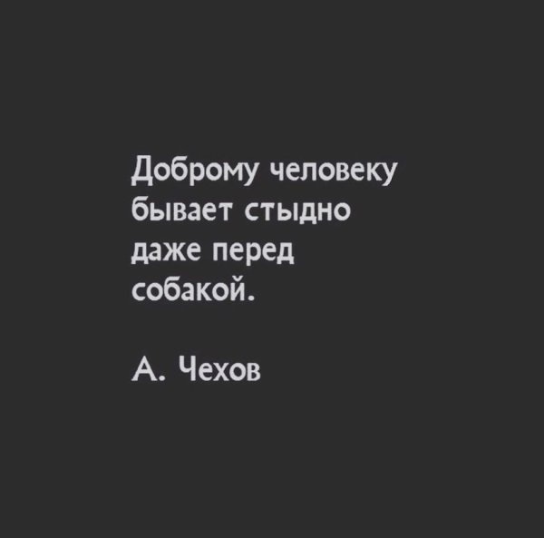 Доброму человеку стыдно всегда и за всех