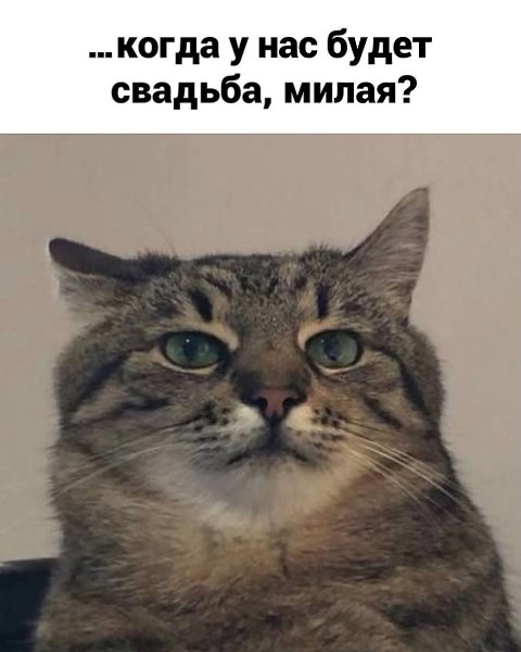 �� �� ��� �������! ������� ���������� - 2