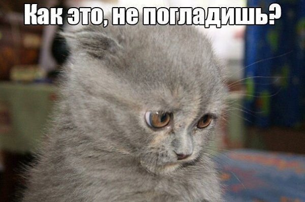 ��� �������� �������� - 11 ���� 2021 � 17:39