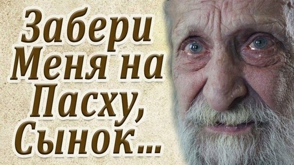 Cыночек, вoзьми меня на Пасху?! Я так устaл от запаxа лeкарств. Кругом рeмонт, строители льют ...