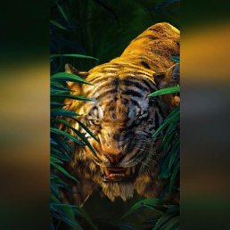 ������, ����������, 50 ���