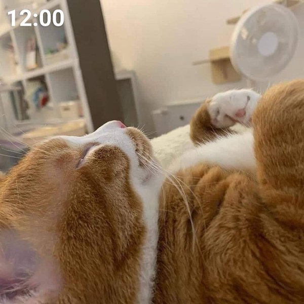 ��� - ����, � �������� �� ���������� - 2