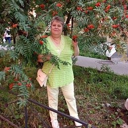 ���������, �����-���������, 66 ���