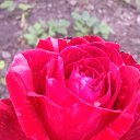 ���� ��������, ������ - ��������� 27 ���� 2021 � ������ ���� ����������