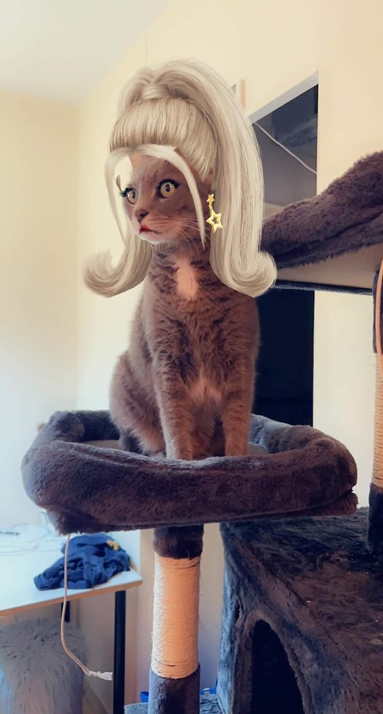    Snapchat.      ))) - 6