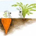 ���� ������, ������-��-���� - ��������� 17 ������ 2022 � ������ ���� ����������