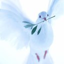 ���� ����, ���������, 61 ��� - ��������� 7 ������ 2021 � ������ ������ ��������