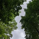 ���� ����, ����, 36 ��� - ��������� 4 ���� 2021