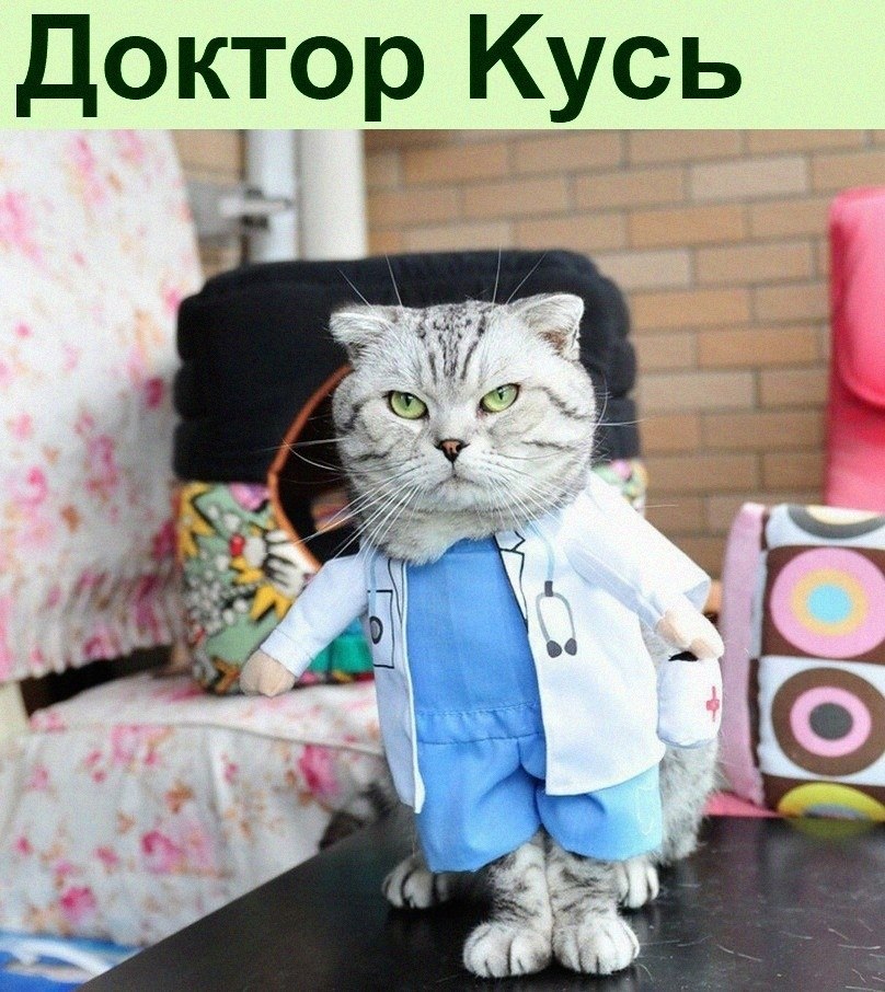   :D - 19  2022  12:31