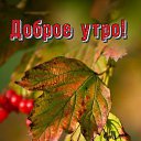  ***L***,   -  31  2021   30.10.2021 .