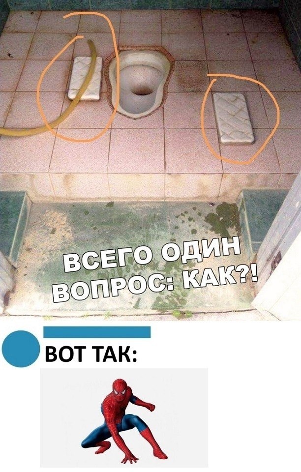  xyo,  a y