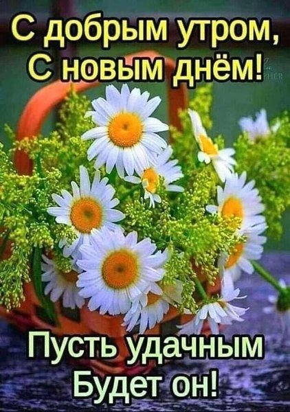 ����������� � ���������, �������� �� ������ ����. - 18 ������ 2021 � 08:47 - 5