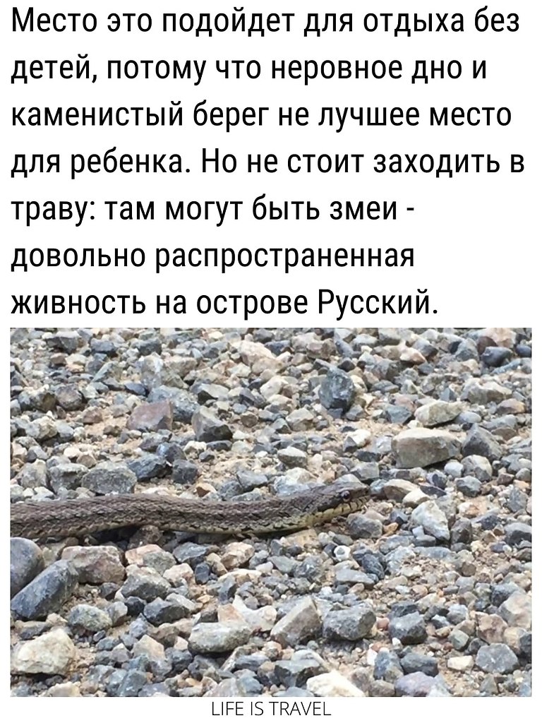    ,     - 6