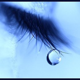 �������, ������