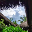 ���� ������, �����-��������� - ��������� 19 ������� 2021 � ������ �...�