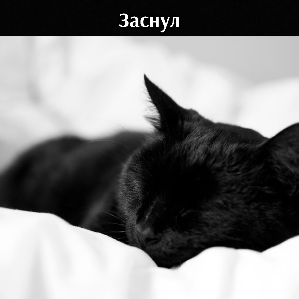       - 17  2021  05:38 - 3