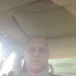 �������, �����, 41 ���