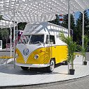 ���� �������, ���������, 44 ���� - ��������� 19 ���� 2021 � ������ �19.06.2021 - ����������