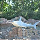  , , 69  -  16  2021   .  .