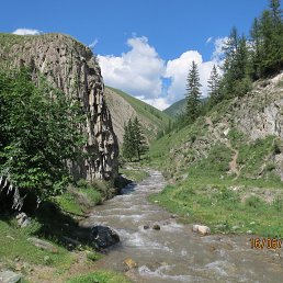 �����, ���������, 41 ���