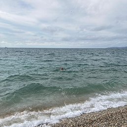 ���� ����, ������, 56 ��� - ��������� 25 ������ 2021