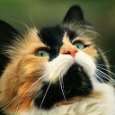 ���� �����, ������ ��������, 50 ��� - ��������� 21 ������� 2021 � ������ ���� ����������