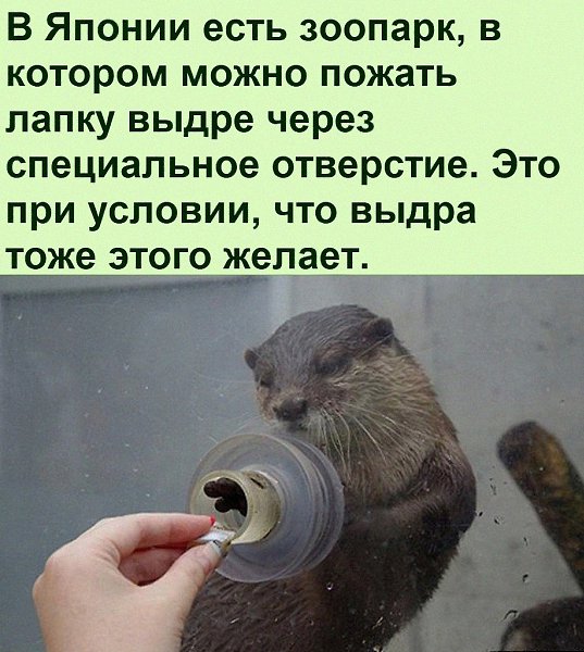   :D - 21  2021  16:37