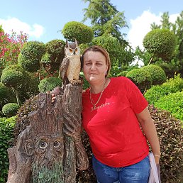 ���� 743806 Asur24zaz, �����������, 48 ��� - ��������� 20 ������� 2021