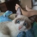 ������ ))) �� ������� ���� ��������