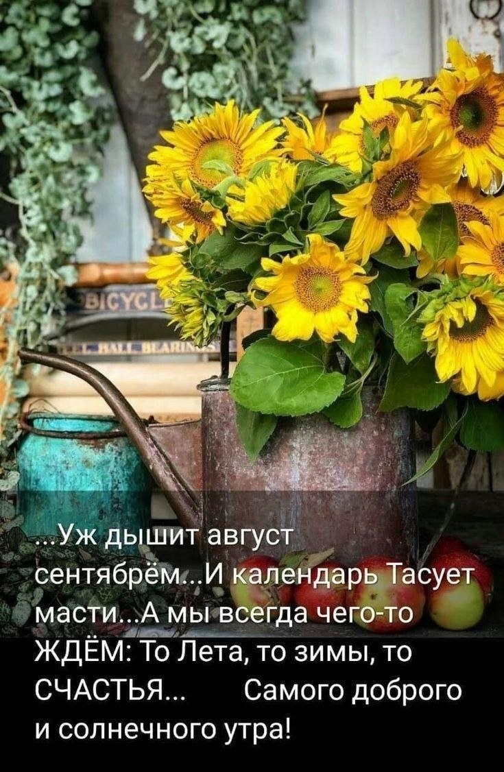 ***Victoria Viktorovna*** - 27  2021  05:24