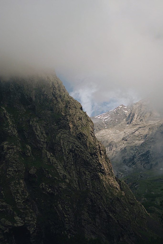 a.ao, , , op, aa. 2021 - 2