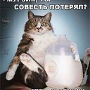 ���� �����, ���������, 40 ��� - ��������� 25 ���� 2021 � ������ ���� ����������
