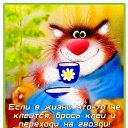 ���� �����, ������ ��������, 49 ��� - ��������� 17 ������� 2021 � ������ ������ ��������